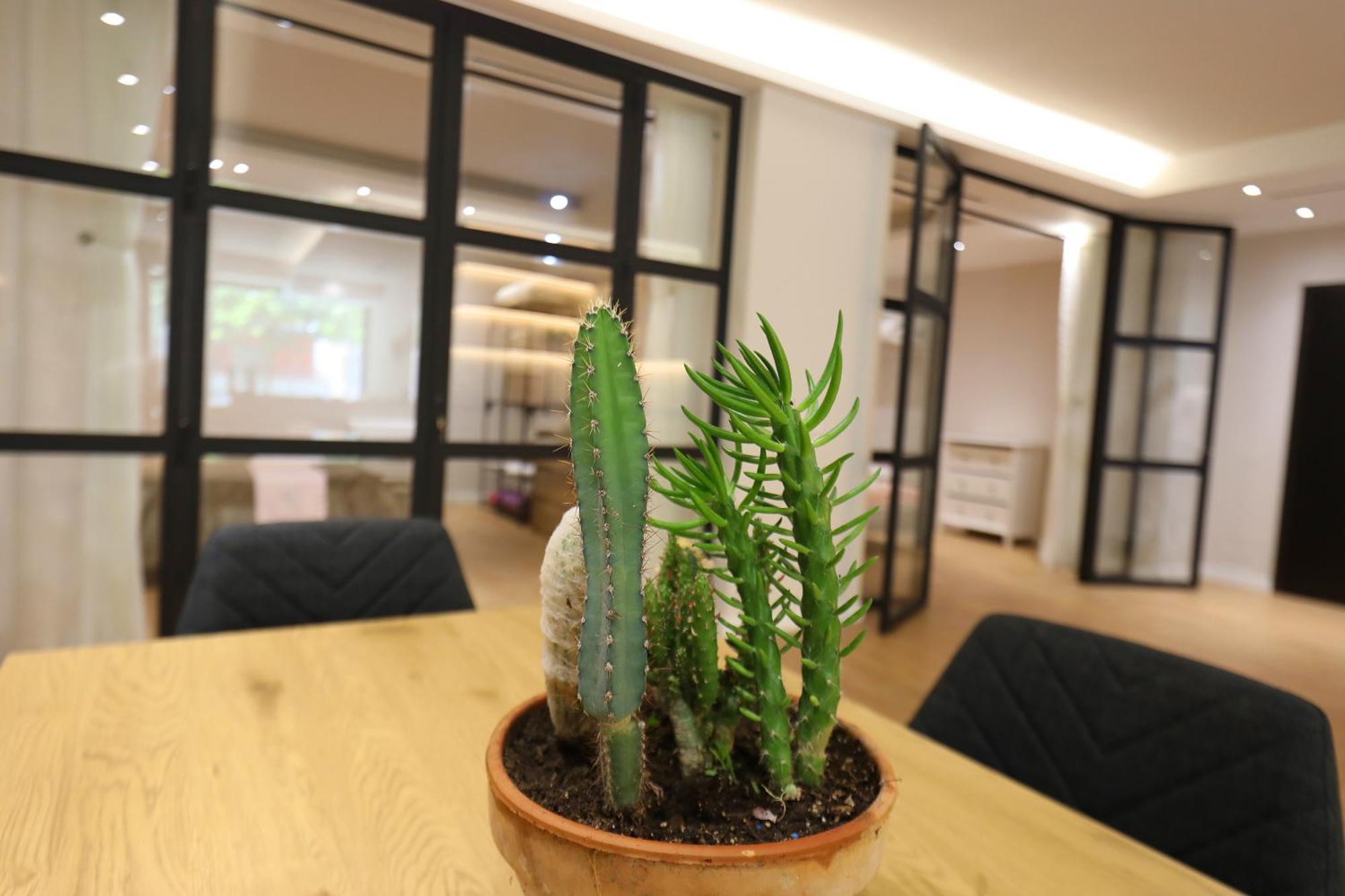 Amantia Apartment วญอเรอ ภายนอก รูปภาพ